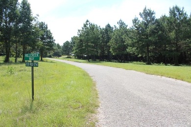 1.533 WATERFRONT AC in Cypress Hills, a restricted subdivision - photo 5