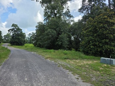 1.533 WATERFRONT AC in Cypress Hills, a restricted subdivision - photo 6
