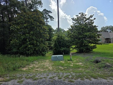 1.533 WATERFRONT AC in Cypress Hills, a restricted subdivision - photo 7