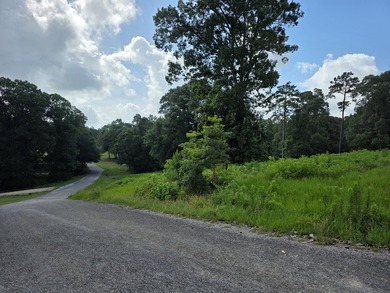 1.533 WATERFRONT AC in Cypress Hills, a restricted subdivision - photo 8