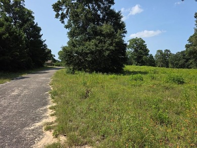 1.533 WATERFRONT AC in Cypress Hills, a restricted subdivision - photo 9