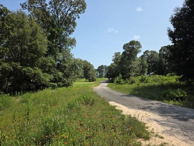 1.533 WATERFRONT AC in Cypress Hills, a restricted subdivision - photo 10
