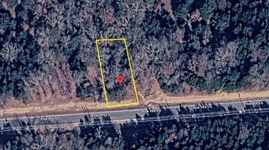 Fully wooded, oversized lot at 70'x130' in beautiful Palisades 3 - photo 2