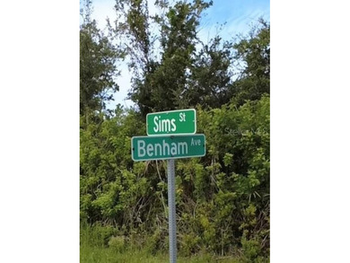 Premium opportunity in Port Charlotte - three adjoining parcels - photo 3
