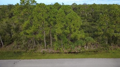 Premium opportunity in Port Charlotte - three adjoining parcels - photo 4