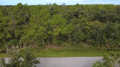Premium opportunity in Port Charlotte - three adjoining parcels - photo 5