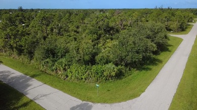 Premium opportunity in Port Charlotte - three adjoining parcels - photo 6