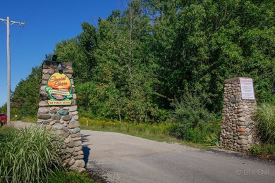 Lake Michigan - Allegan County Lot Sale Pending in South Haven Michigan