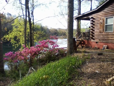 Peninsula Log Cabin Home on Mirror Lake - photo 2