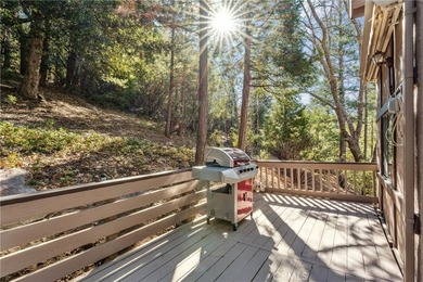 Exceptional Mountain Experience and Atmosphere. Pristine - photo 38