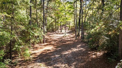 UNRESTRICTED and located just minutes from Lake Sam Rayburn and - photo 8