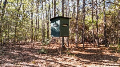 UNRESTRICTED and located just minutes from Lake Sam Rayburn and - photo 9
