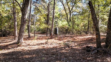 UNRESTRICTED and located just minutes from Lake Sam Rayburn and - photo 10