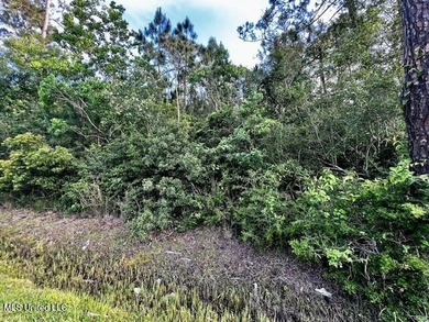 Two Wooded Residential Lots in Charming Coastal Waveland, MS - photo 1
