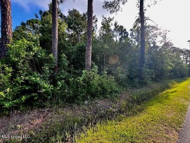 Two Wooded Residential Lots in Charming Coastal Waveland, MS - photo 3