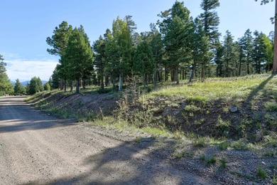 Discover the perfect mountain retreat location with Lot 324 in - photo 2