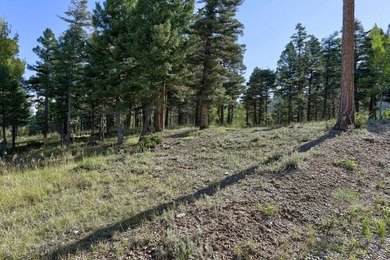 Discover the perfect mountain retreat location with Lot 324 in - photo 3