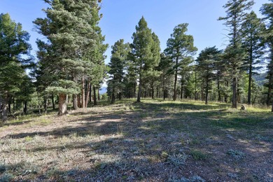 Discover the perfect mountain retreat location with Lot 324 in - photo 4