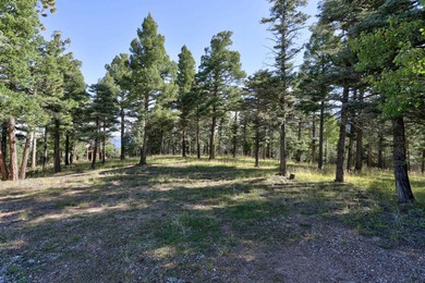 Discover the perfect mountain retreat location with Lot 324 in - photo 5