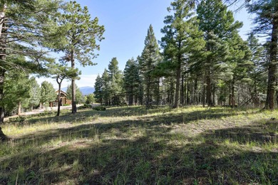 Discover the perfect mountain retreat location with Lot 324 in - photo 6