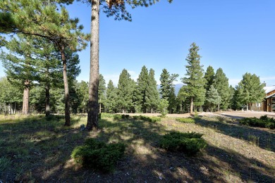 Discover the perfect mountain retreat location with Lot 324 in - photo 7