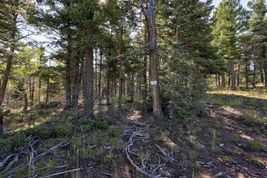 Discover the perfect mountain retreat location with Lot 323 in - photo 2