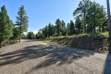 Discover the perfect mountain retreat location with Lot 323 in - photo 5