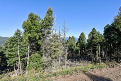 Discover the perfect mountain retreat location with Lot 323 in - photo 6