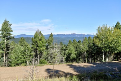 Discover the perfect mountain retreat location with Lot 323 in - photo 7