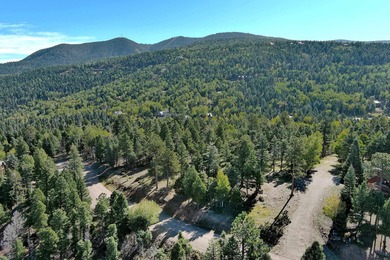 Discover the perfect mountain retreat location with Lot 323 in - photo 8