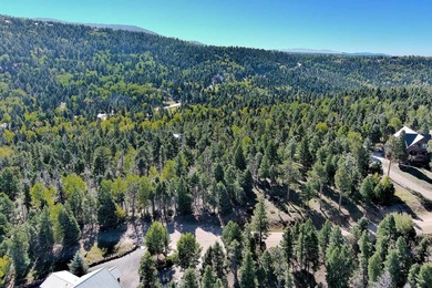 Discover the perfect mountain retreat location with Lot 323 in - photo 9