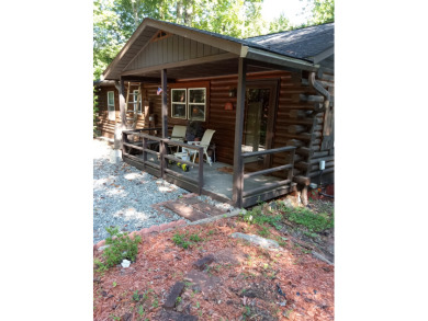Peninsula Log Cabin Home on Mirror Lake - photo 4