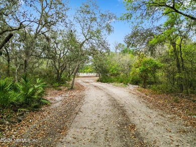 Waterfront Acreage on Junior Lake. Discover 12.07 acres of - photo 4