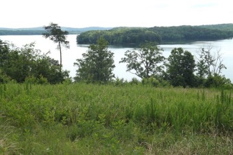Watts Bar Lake Lot For Sale in Spring City Tennessee