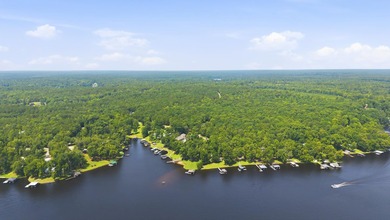 Charming remodeled lakefront cottage on beautiful Lake Sinclair! - photo 24
