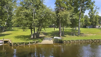 Charming remodeled lakefront cottage on beautiful Lake Sinclair! - photo 29