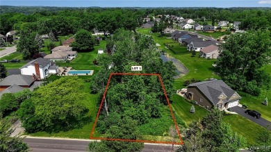 (private lake, pond, creek) Lot For Sale in Lewiston New York