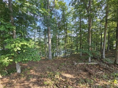 Lake Lot For Sale in Toccoa, Georgia
