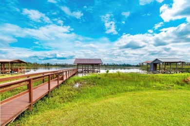 Lake Home For Sale in Donalsonville, Georgia