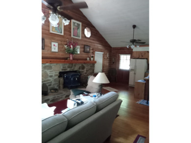 Peninsula Log Cabin Home on Mirror Lake - photo 9