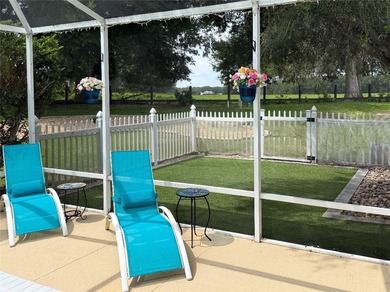 THE VILLAGES, FL - LARGEST 55+ COMMUNITY IN THE COUNTRY! - photo 4