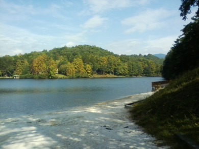 Lake Home For Sale in Lake Lure, North Carolina