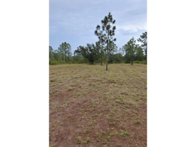 Lake Lot For Sale in Indian Lake Estates, Florida