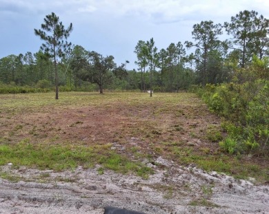 Discover the perfect opportunity to build your dream home or - photo 2