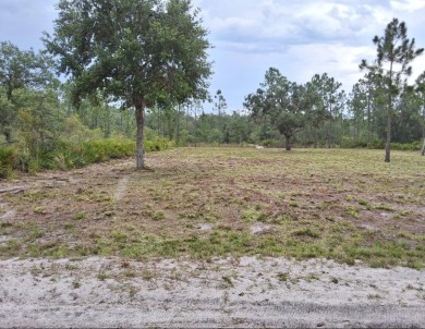 Discover the perfect opportunity to build your dream home or - photo 3