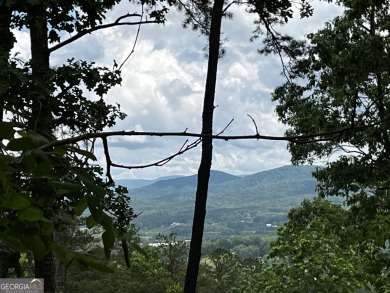 Lake Lot For Sale in Blairsville, Georgia