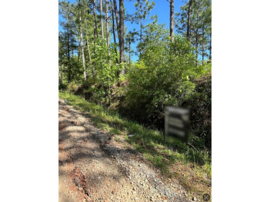Lake Acreage For Sale in Bainbridge, Georgia