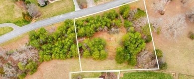 Lake Lot Sale Pending in Lenoir City, Tennessee