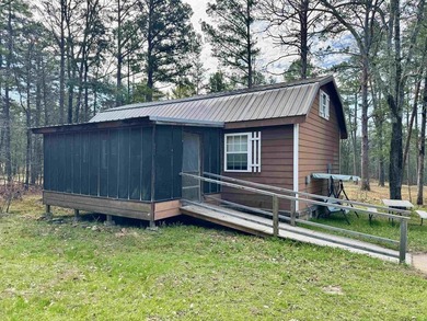 Escape to the beauty of the Ozarks with this charming 1 bedroom - photo 1