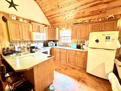 Escape to the beauty of the Ozarks with this charming 1 bedroom - photo 3
